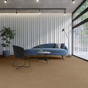 Thảm Nhật Bản Một Màu NT316