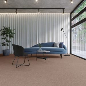 Thảm Nhật Bản Một Màu NT353